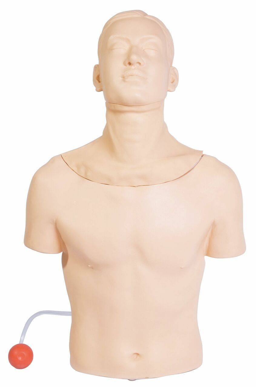 The Anatomy Lab-A-106746 Tracheostomy Model, 1/ea