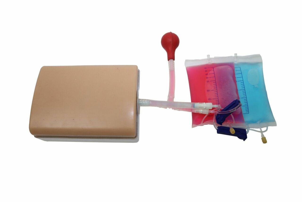 The Anatomy Lab-A-108516 Vascular Access Ultrasound Training Model, 1/ea