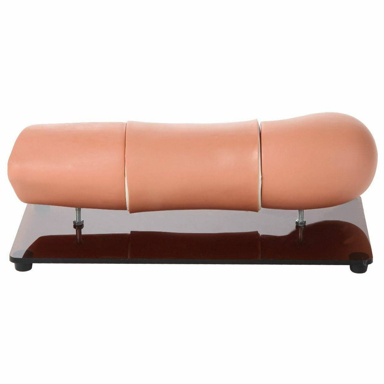 The Anatomy Lab-A-106108 Subcutaneous Embedded Contraception Arm, 1/ea