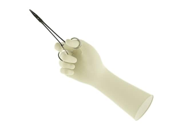 Ansell Encore Perry® Style 42 Powder Free Surgical Gloves