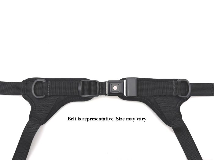 Therafin-60460 - Belt, 2" 4-Point Y-Style, Dual Center Pull, PB Security Buckle, Large, Ea