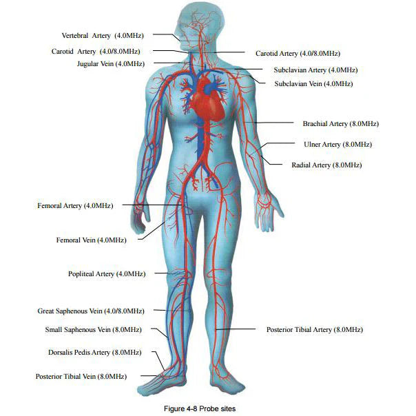 EDAN Sonotrax II Pro. Incluye pantalla retroiluminada, kit de batería recargable, reproducción de audio y sonda de 8 MHz.