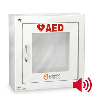 ZOLL-50-00392-20 Gabinete de pared para montaje en superficie con alarma, seguridad habilitada