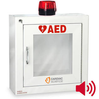 ZOLL-50-00400-30 Gabinete de pared totalmente empotrado con alarma y luz estroboscópica, con seguridad habilitada