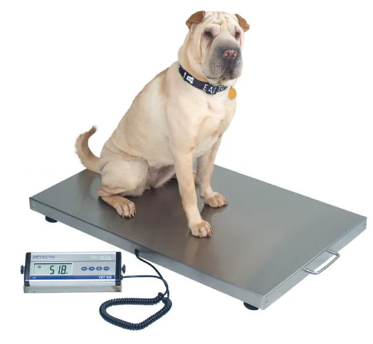 Detecto-VET550 Veterinary Floor Scale, Portable & Digital, for Medium- to Large-Sized Animals 1/EA