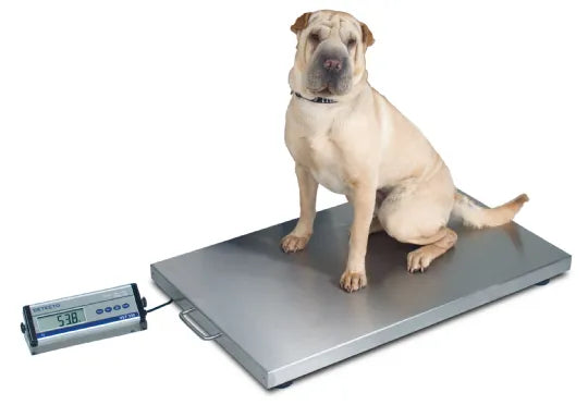 Detecto-VET550 Veterinary Floor Scale, Portable & Digital, for Medium- to Large-Sized Animals 1/EA