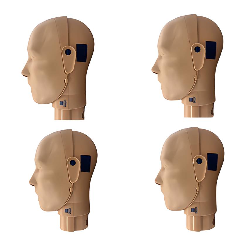 PRESTAN-PP-APHEAD-4-DE-MS PRO+ Adult Head with PRO+ Face-Shield, 4-Pack-Medium Skin Tone (Pack of 4)