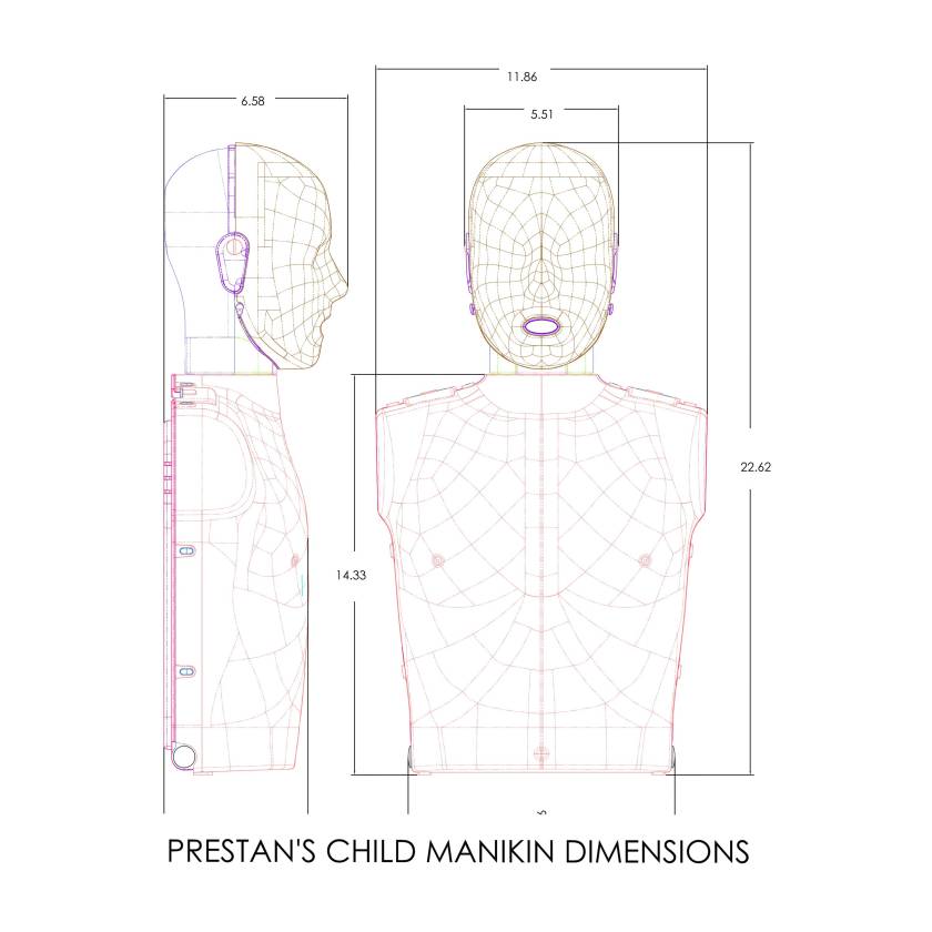 PRESTAN-PP-FM-300M-JTM-MS Professional Collection Jaw Thrust Manikin with CPR Feedback, 3-Pack - Medium Skin Tone (Pack of 3)