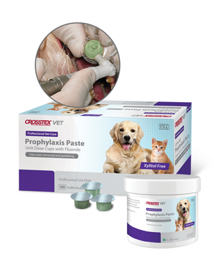 Crosstex Prophylaxis Paste