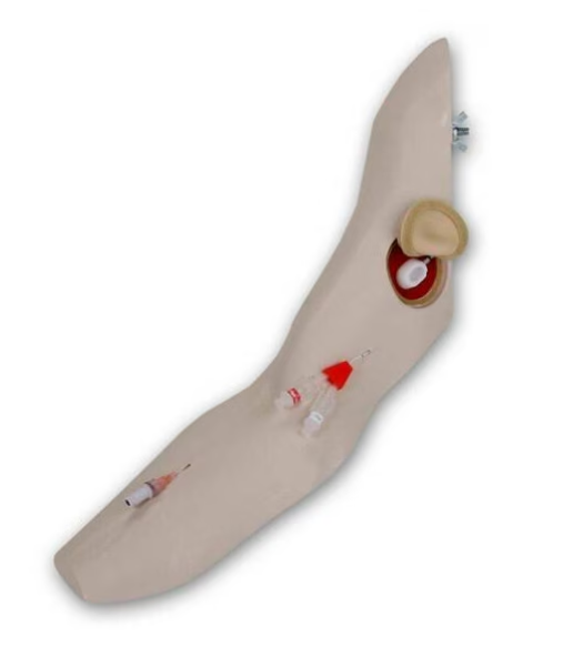 Laerdal Chester Chest for Arm