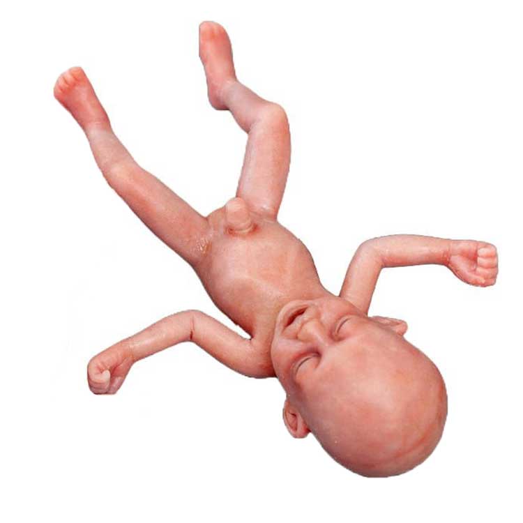 Safeguard Medical 28-week Pre-term Advanced