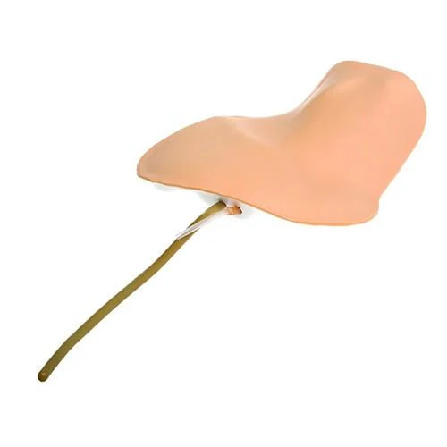 Laerdal-92001 – Neck replacement Pad – Each