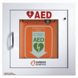 ZOLL-50-00400-20 Armario de pared totalmente empotrado con alarma, seguridad habilitada