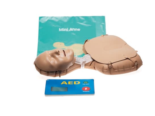 LAERDAL-103-00050 Mini Anne Global