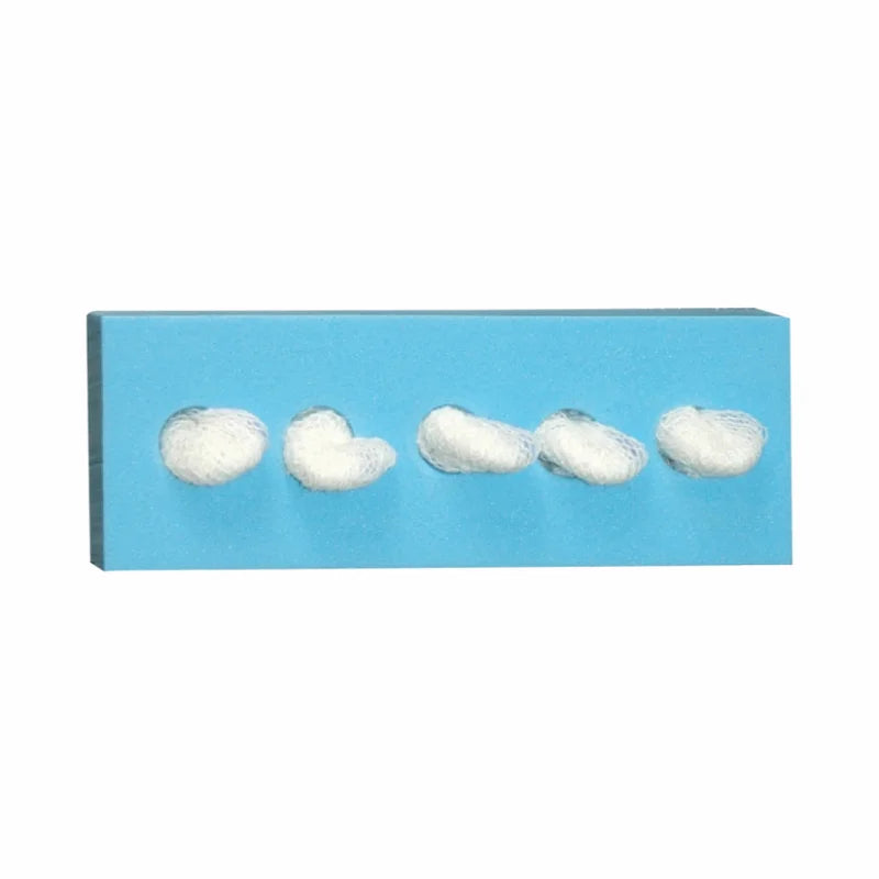 Dukal Corporation Cherry Sponge with C-5® Holder
