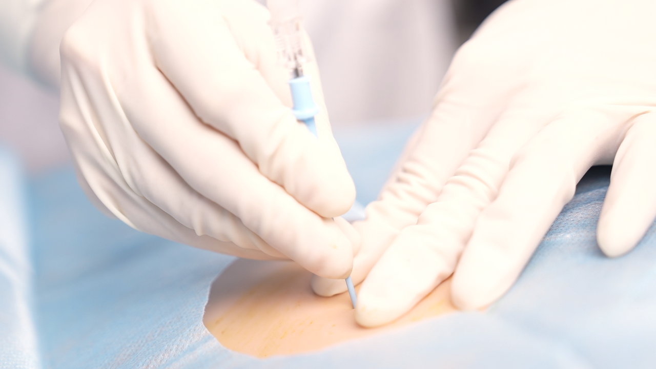 The Anatomy Lab-A-113015 Complete Clinical Skills Training Manikin, 1/EA