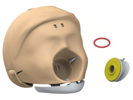 Laerdal Little Anne ACCESORIES