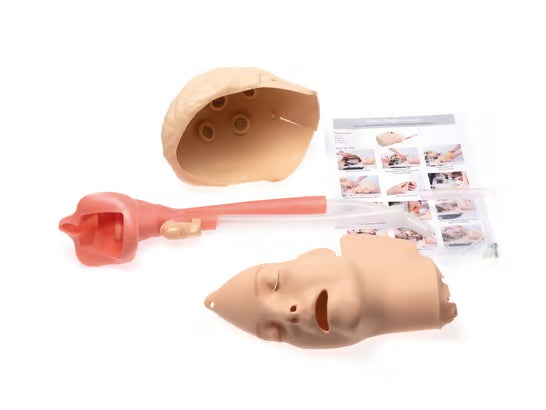 Laerdal-150-12050 RASim Airway Upgrade Kit