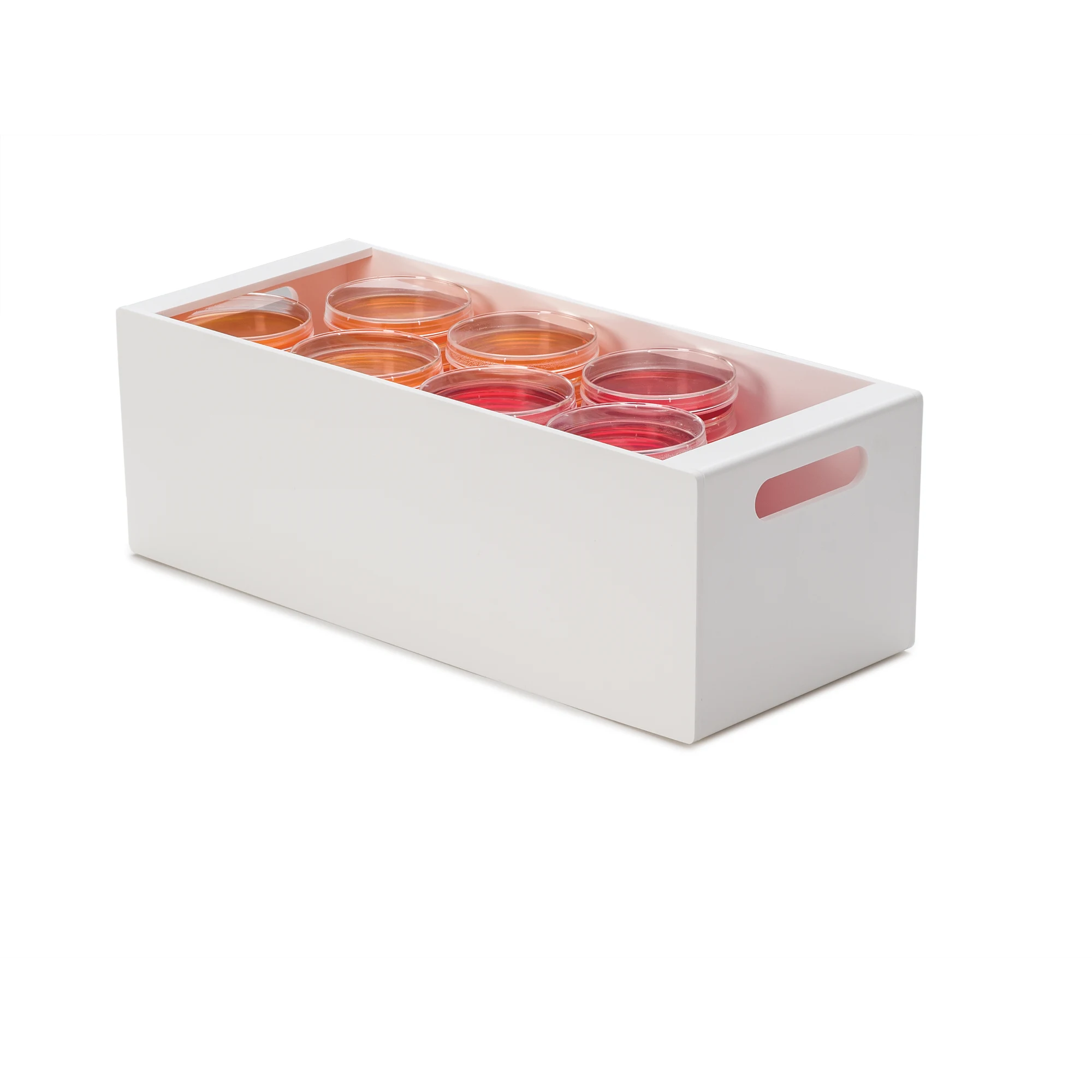 Marketlab-15901 Media Plate/Blood Culture Bottle Storage Tote, 1/ea