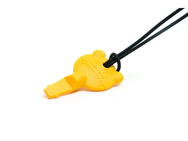 Laerdal-198-10150 AED Trainer 4 Pediatric Key (1 EA)