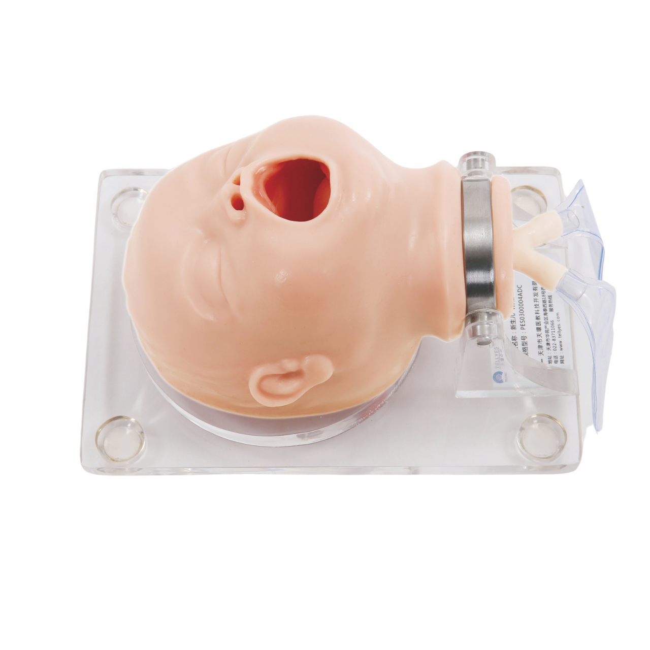 The Anatomy Lab-A-104422 Neonate Airway Management Trainer, 1/ea