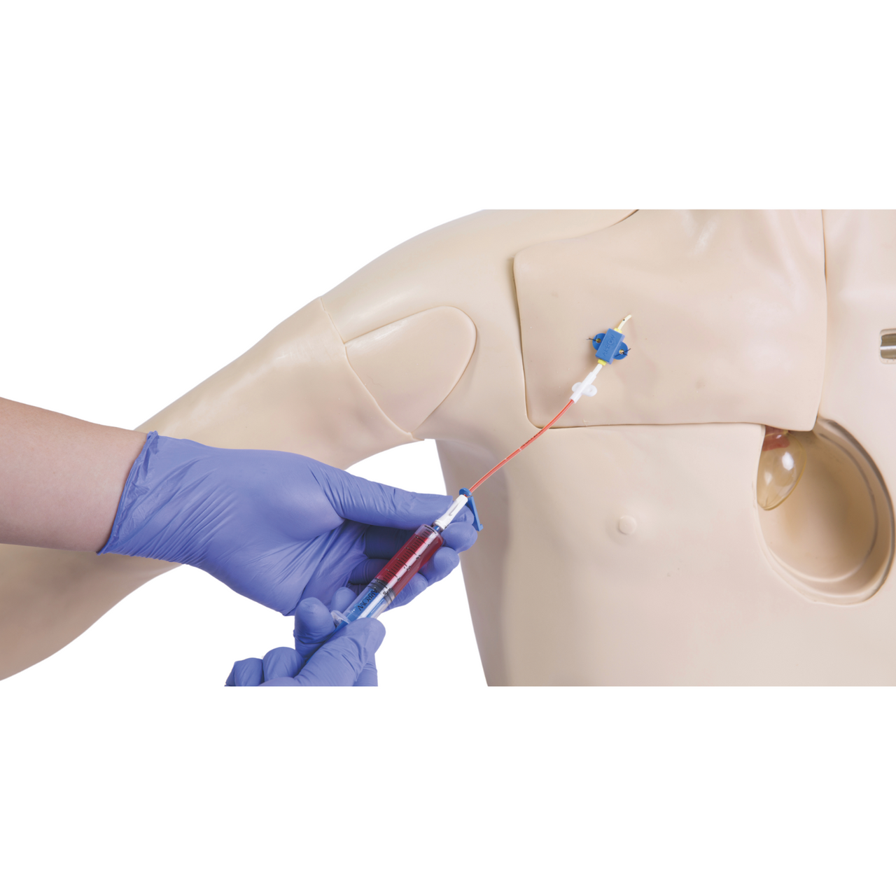 The Anatomy Lab-A-105849 Central Venous Catheterization Simulator, 1/ea