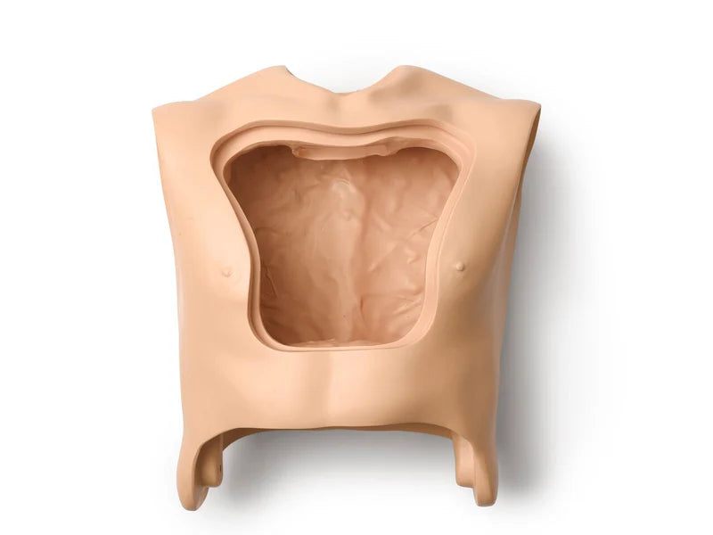 Laerdal-201-00250 Torso Adult Male Hosp (1 EA)