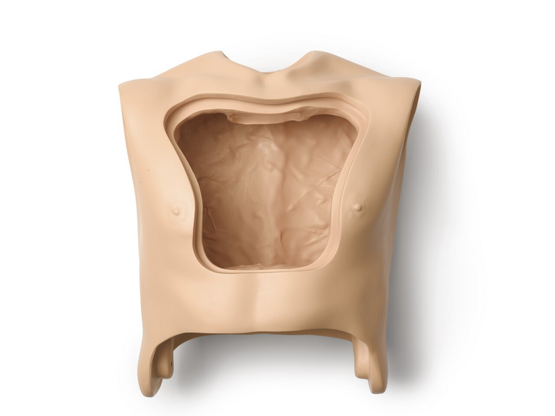 Laerdal-201-00250 Torso Adult Male Hosp (1 EA)
