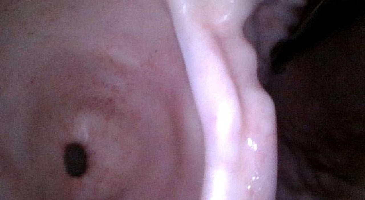 The Anatomy Lab-A-113016 Upper GI Endoscopy Training Model, 1/ea