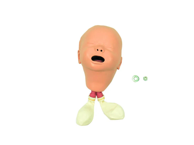 Laerdal-240-00950 Head Neonate-W/Stom-Std 1/EA