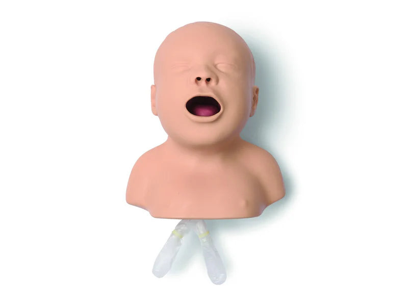 Laerdal-250-00450 Head Neonate Intub-Std 1/Ea