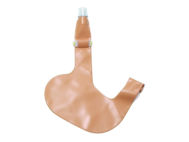 Laerdal-251100 Amt Stomach, Cpl. 1/Ea