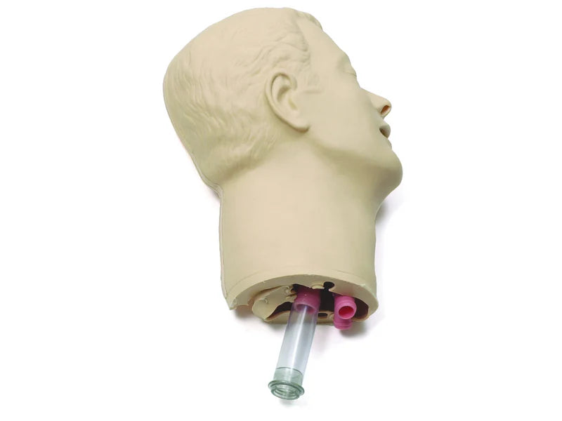 Laerdal-252000 Head Skin & Airways 1/Ea