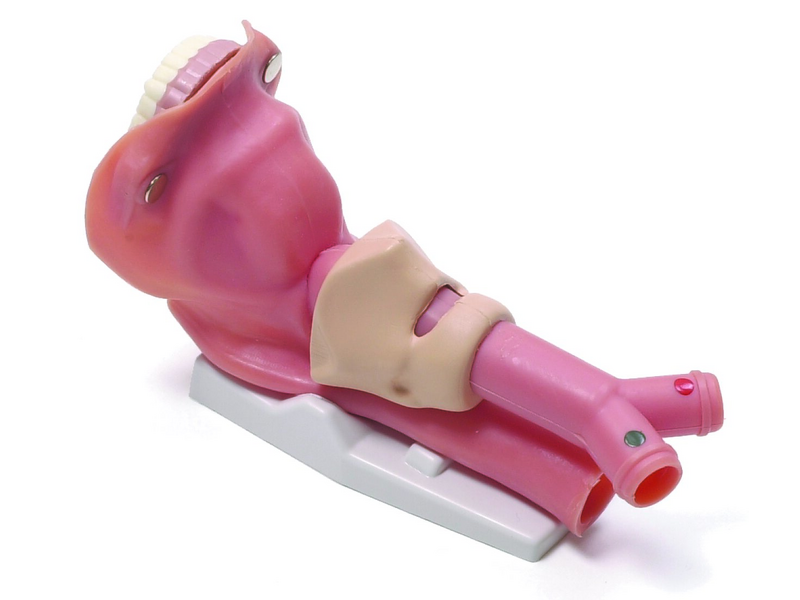 Laerdal-252500 Airway Demonstration 1/Ea