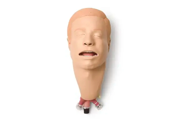 Laerdal-260-00650 Adult Male Intub Head No Lungs 1/Ea