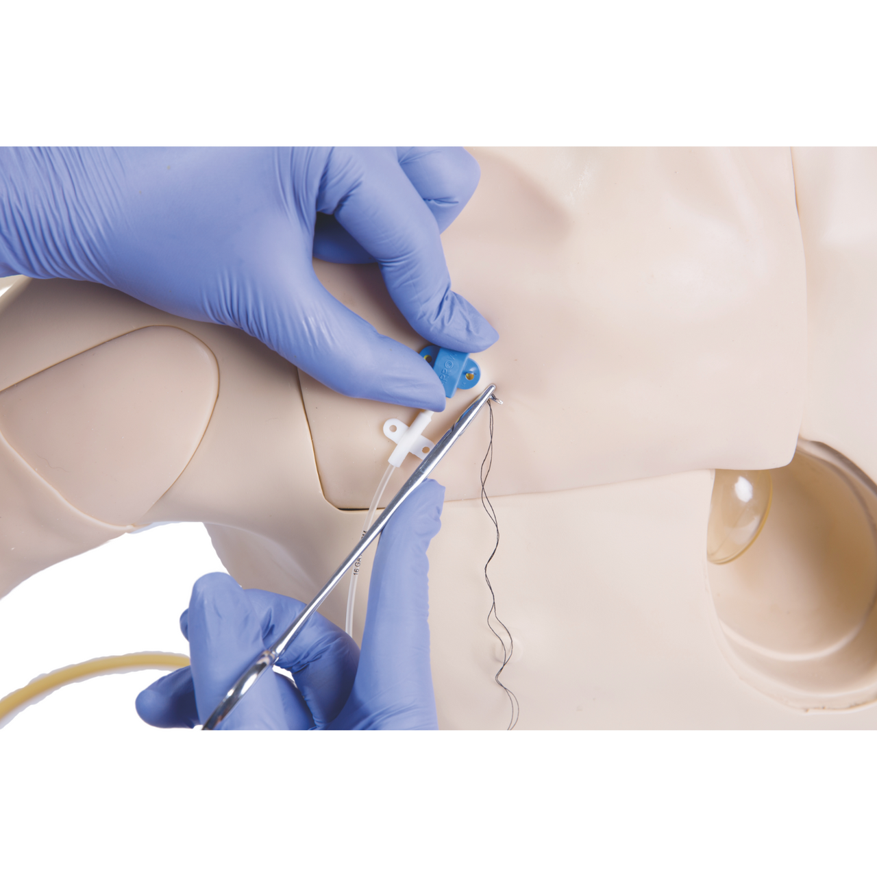 The Anatomy Lab-A-105849 Central Venous Catheterization Simulator, 1/ea