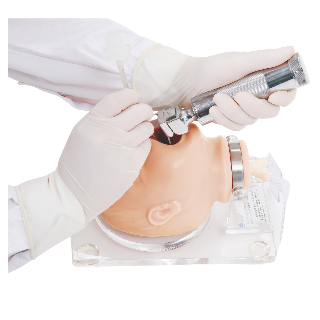 The Anatomy Lab-A-104422 Neonate Airway Management Trainer, 1/ea