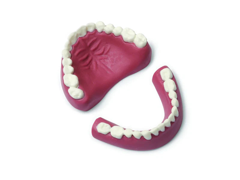 Laerdal-300-00950 Dentures-Upper/Lower 1/Ea