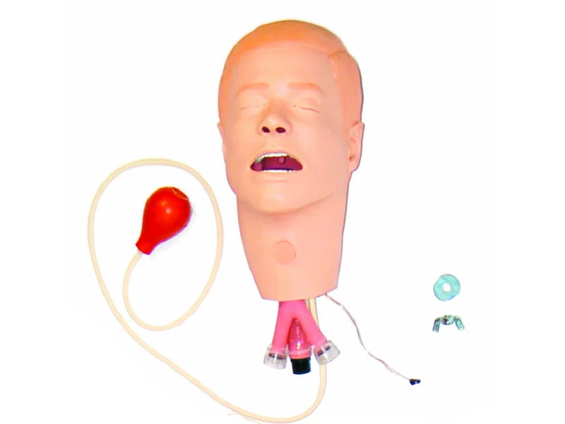 Laerdal Head; Am-Vsim Trach