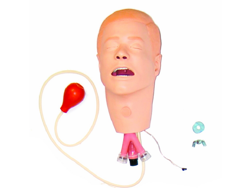 Laerdal Head; Am-Vsim Trach