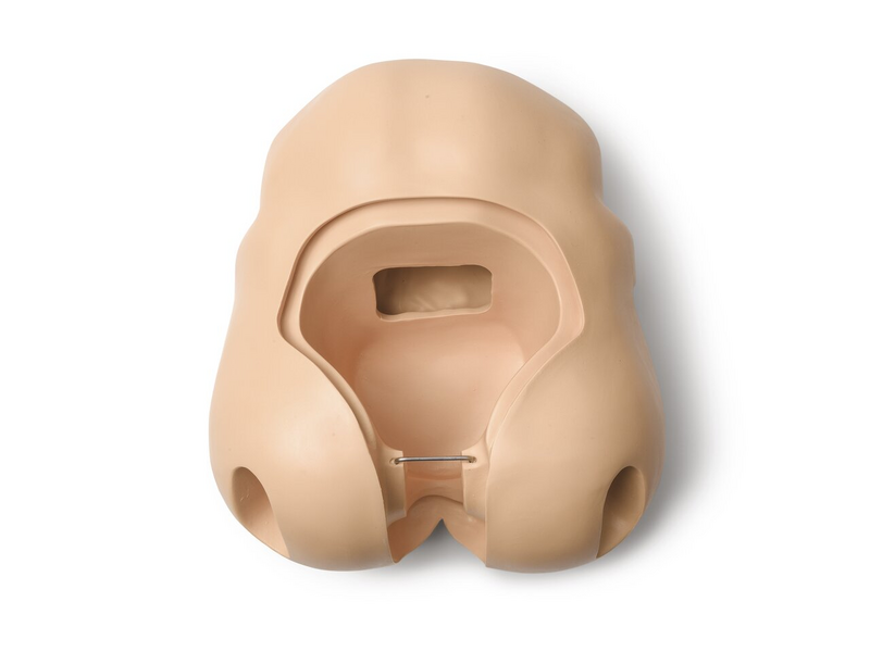 Laerdal-300-01450 Pelvis; Amh-No Brdge-Std 1/Ea