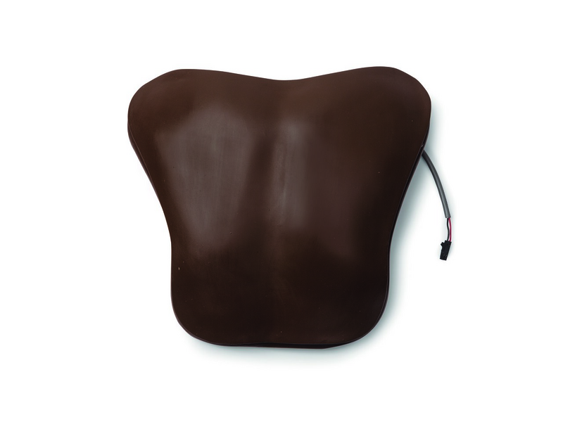 Laerdal Chestplt; Amh-Vsim