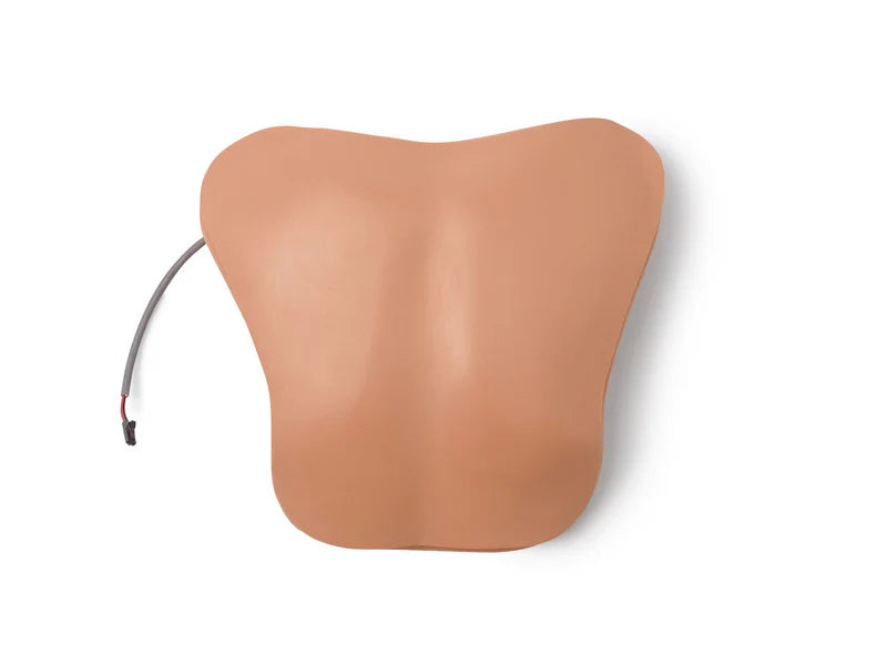 Laerdal Chestplt; Amh-Vsim