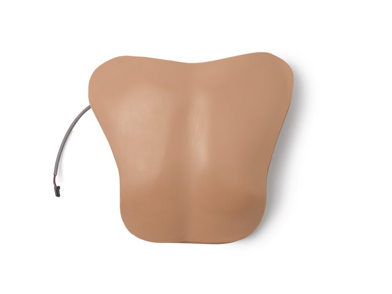Laerdal Chestplt; Amh-Vsim