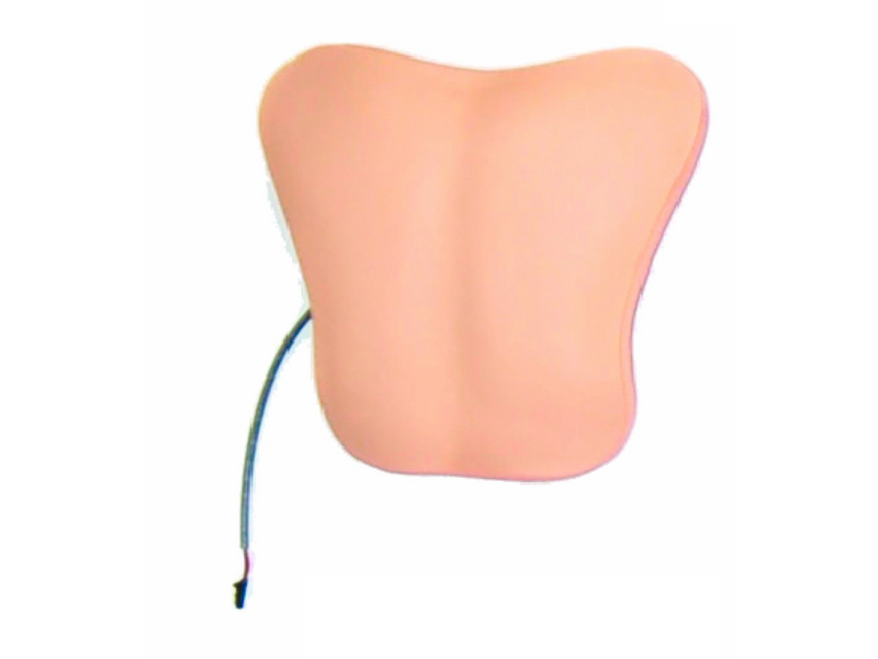 Laerdal Chestplt; Amh-Vsim