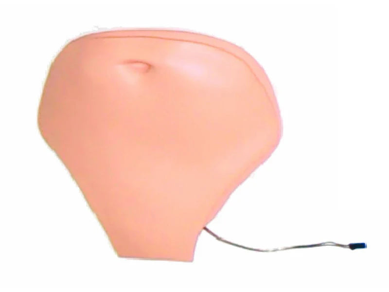 Laerdal Abd; Hosp W/Spkr
