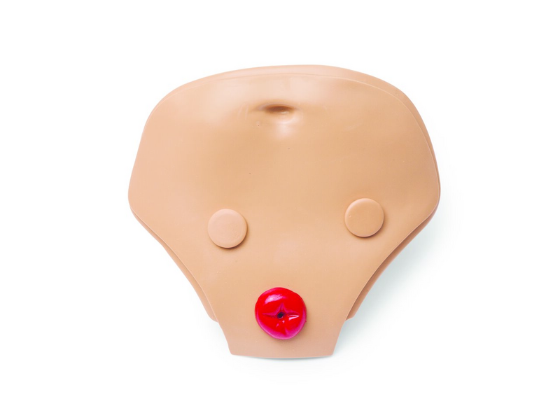 Laerdal Assy; Abd-Hos 3 Hole