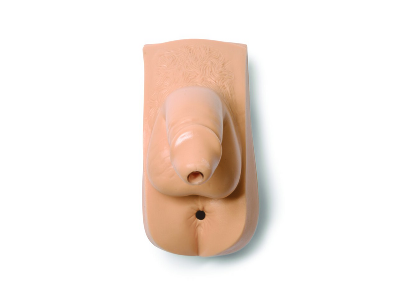 Laerdal Gen; Male-Adlt Male