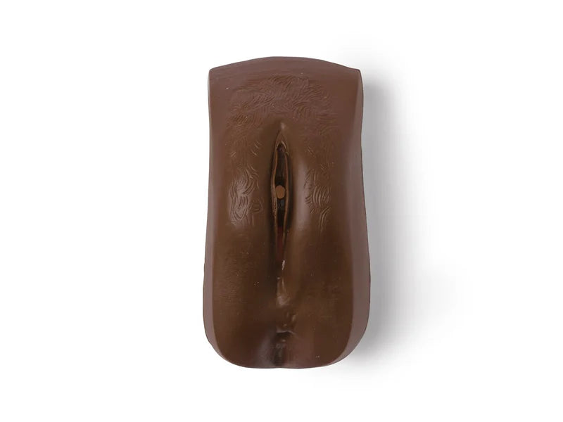 Laerdal-300-03950B Gen; Female-Adlt Male Brown (Nursing) 1/Ea