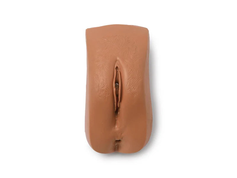 Laerdal-300-03950T Female Genitalia-Adlt 1/Ea